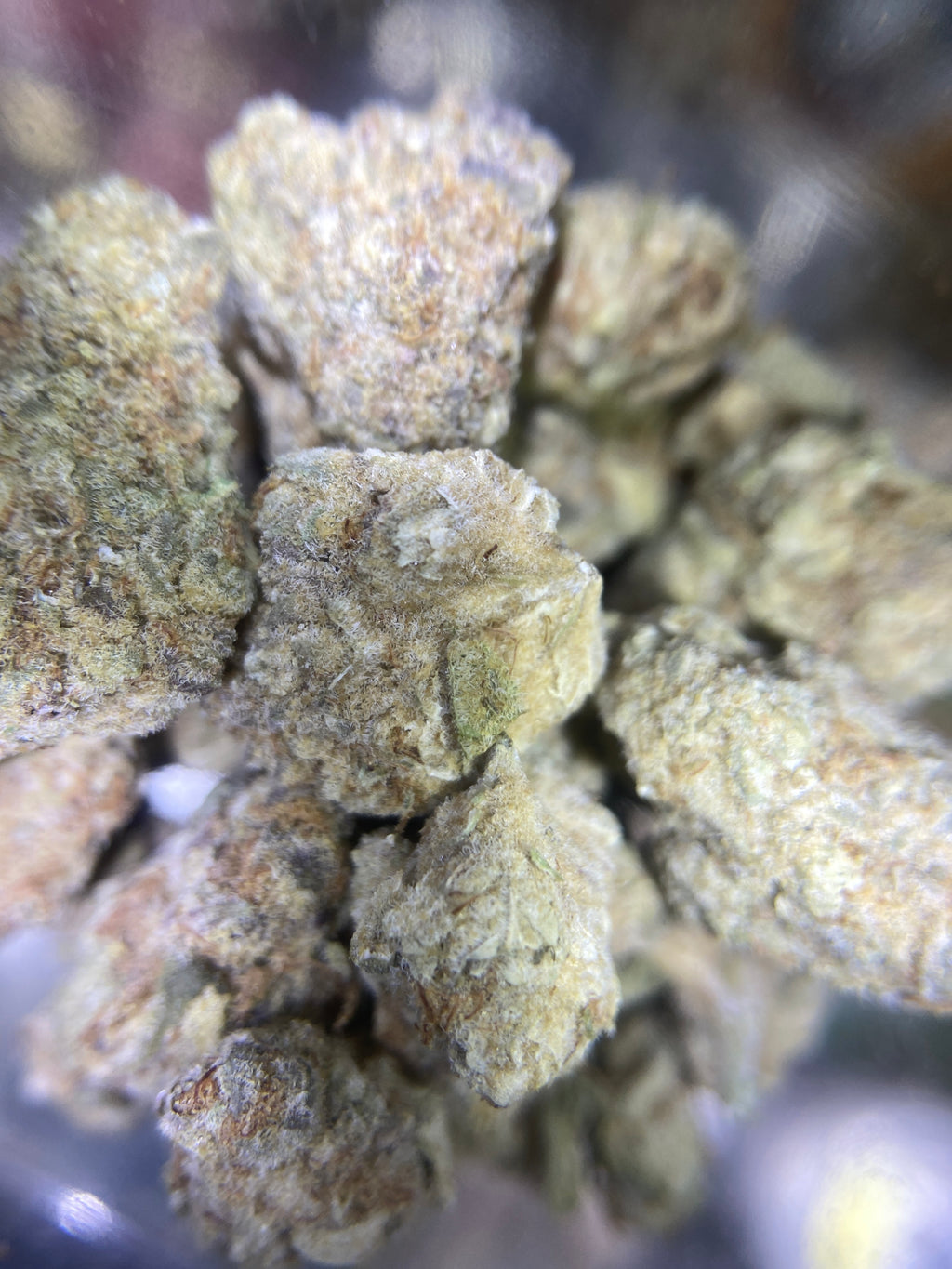 2g Rice Krispies (INDOOR GRADE)
