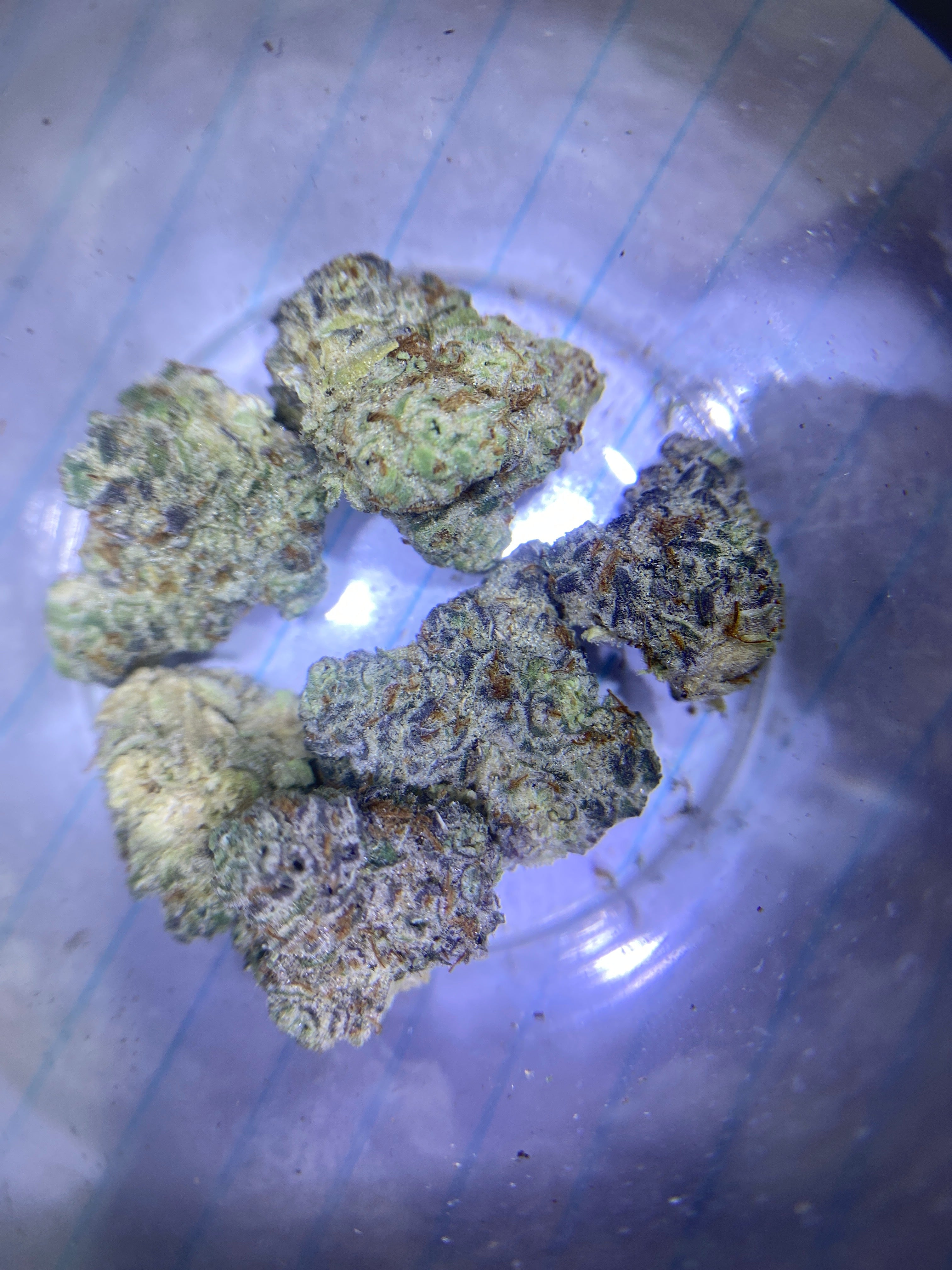 2g Cereal Milkshake                             Exotic strain