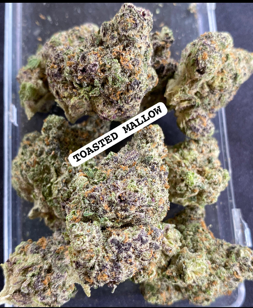 TOASTED MELLOW STRAIN.               Cannabis palace