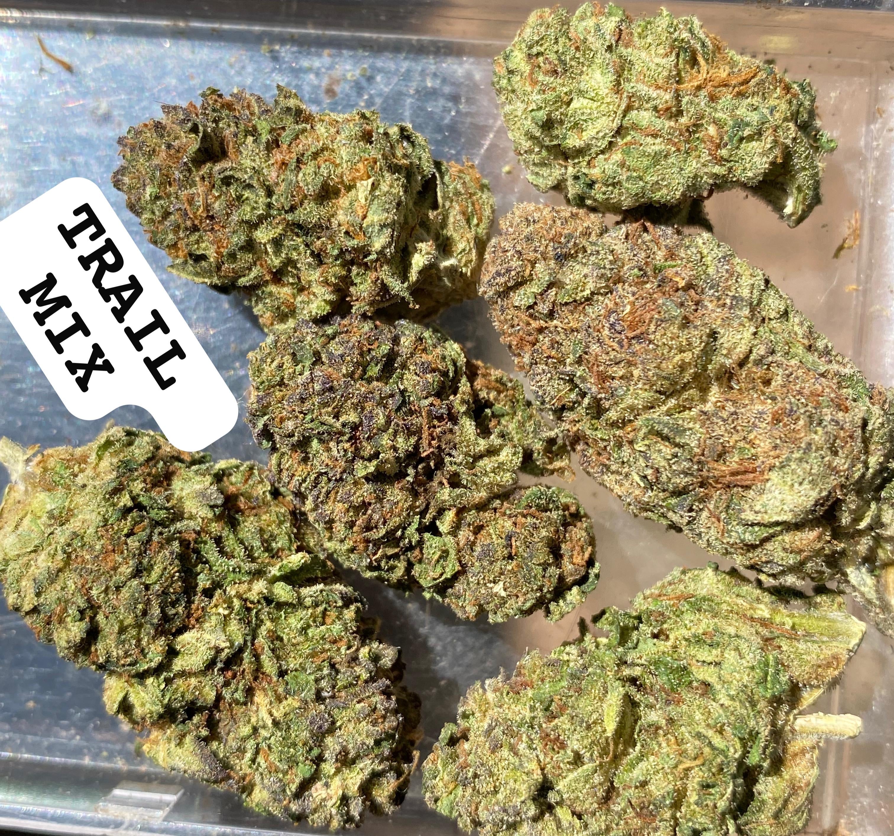 TRAIL MIX STRAIN                                Cannabis palace