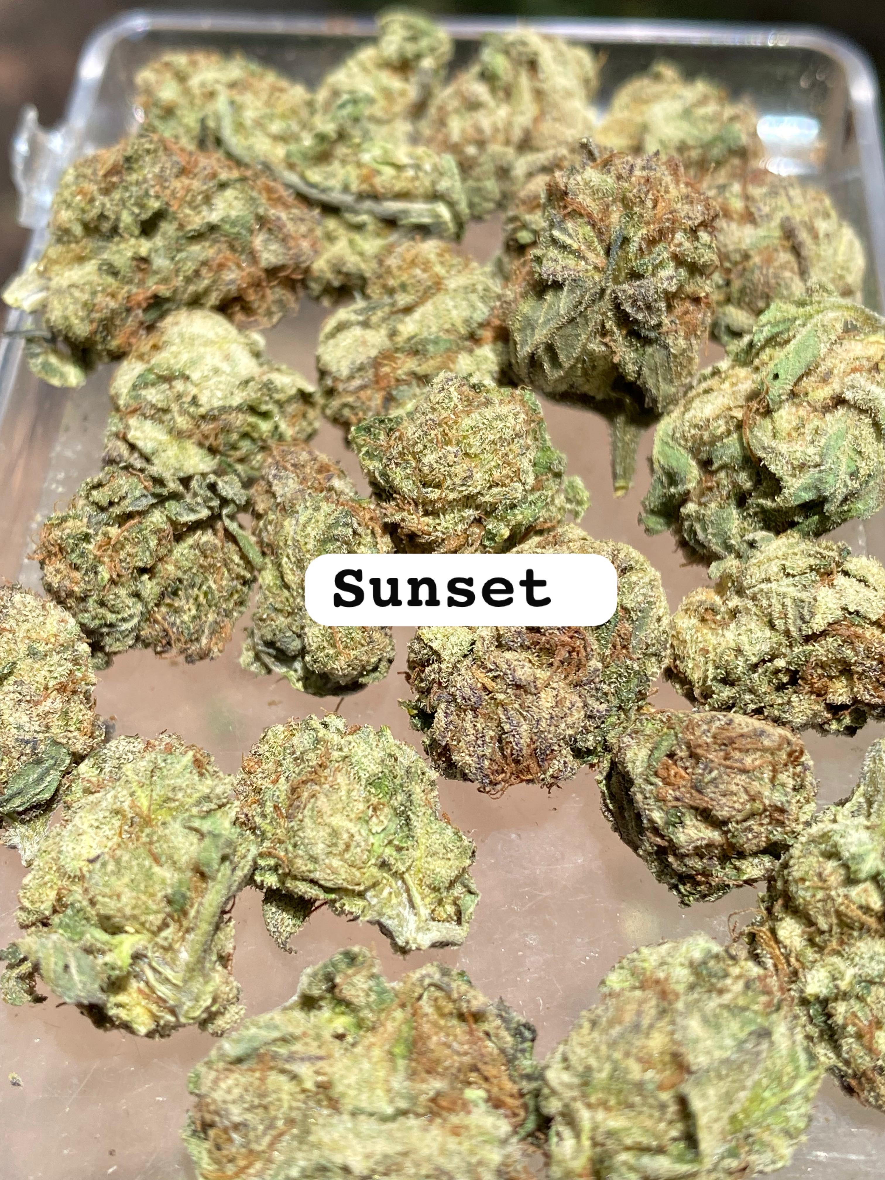 SUNSET #2 STRAIN                             Cannabis palace