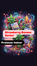 Strawberry Banana Serbet strain        Cannabis Palace