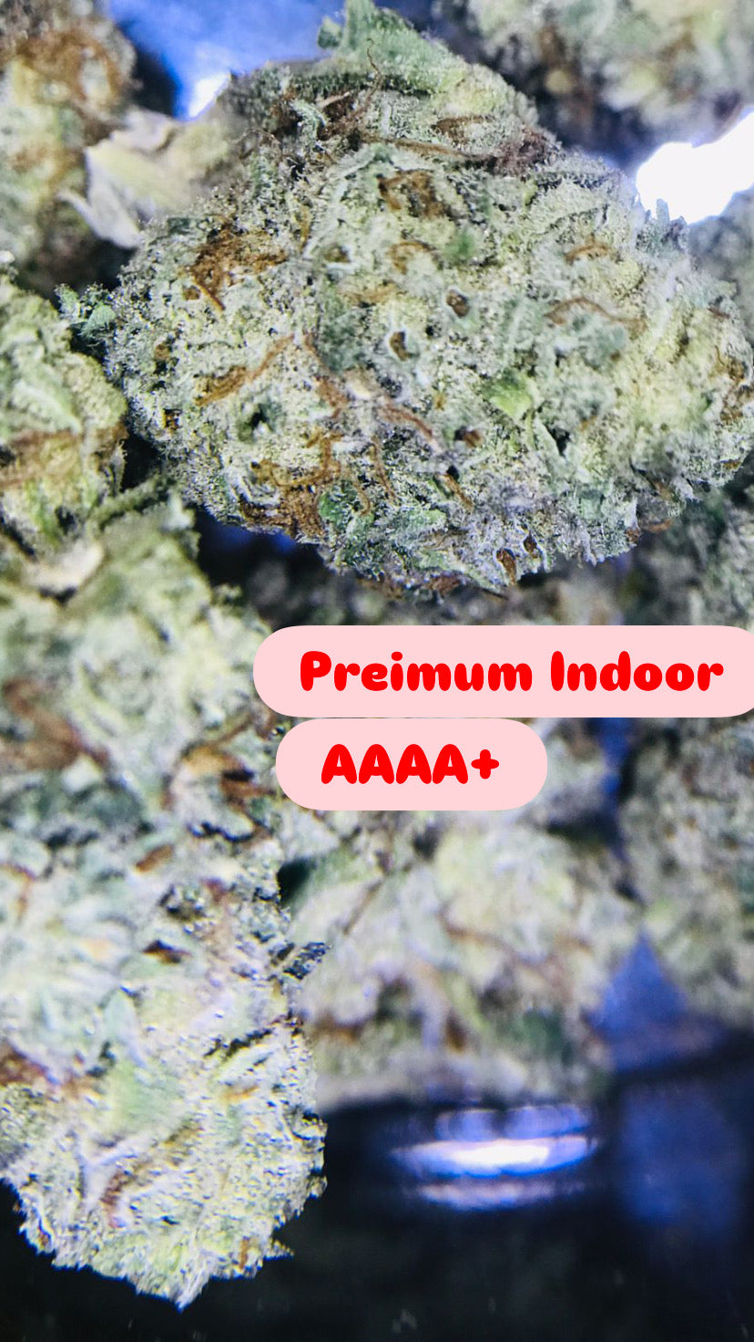 Apple Tassie Strain                               Cannabis Palace