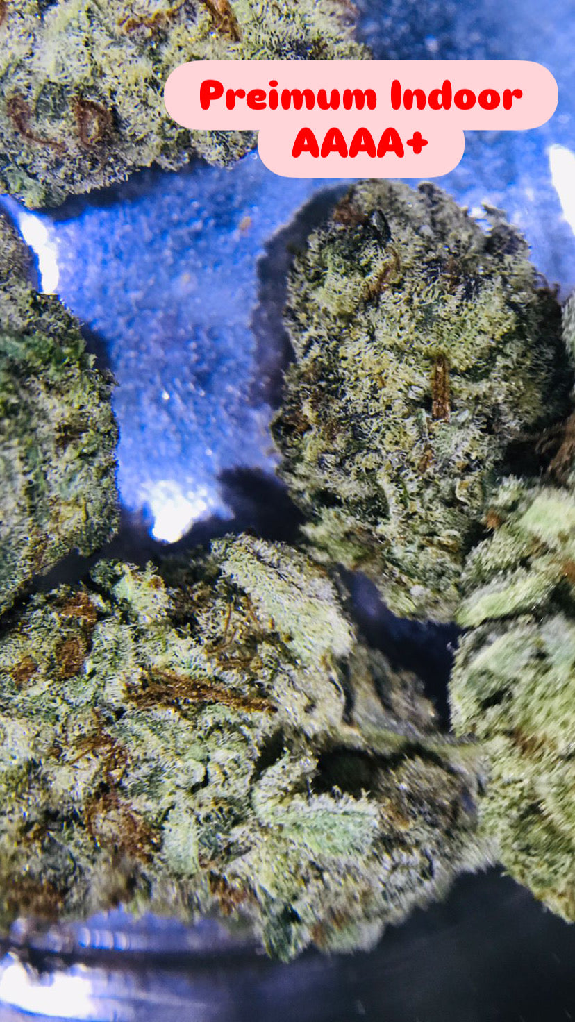 Singapor E.Sting Strain                                                  Cannabis Palace