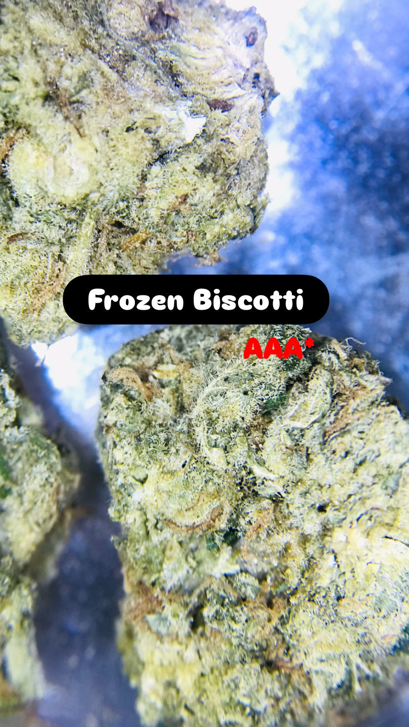 Frozen Biscotti Strain                           Cannabis Palace