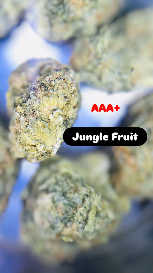 Jungle Fruits Strain                               Cannabis Palace