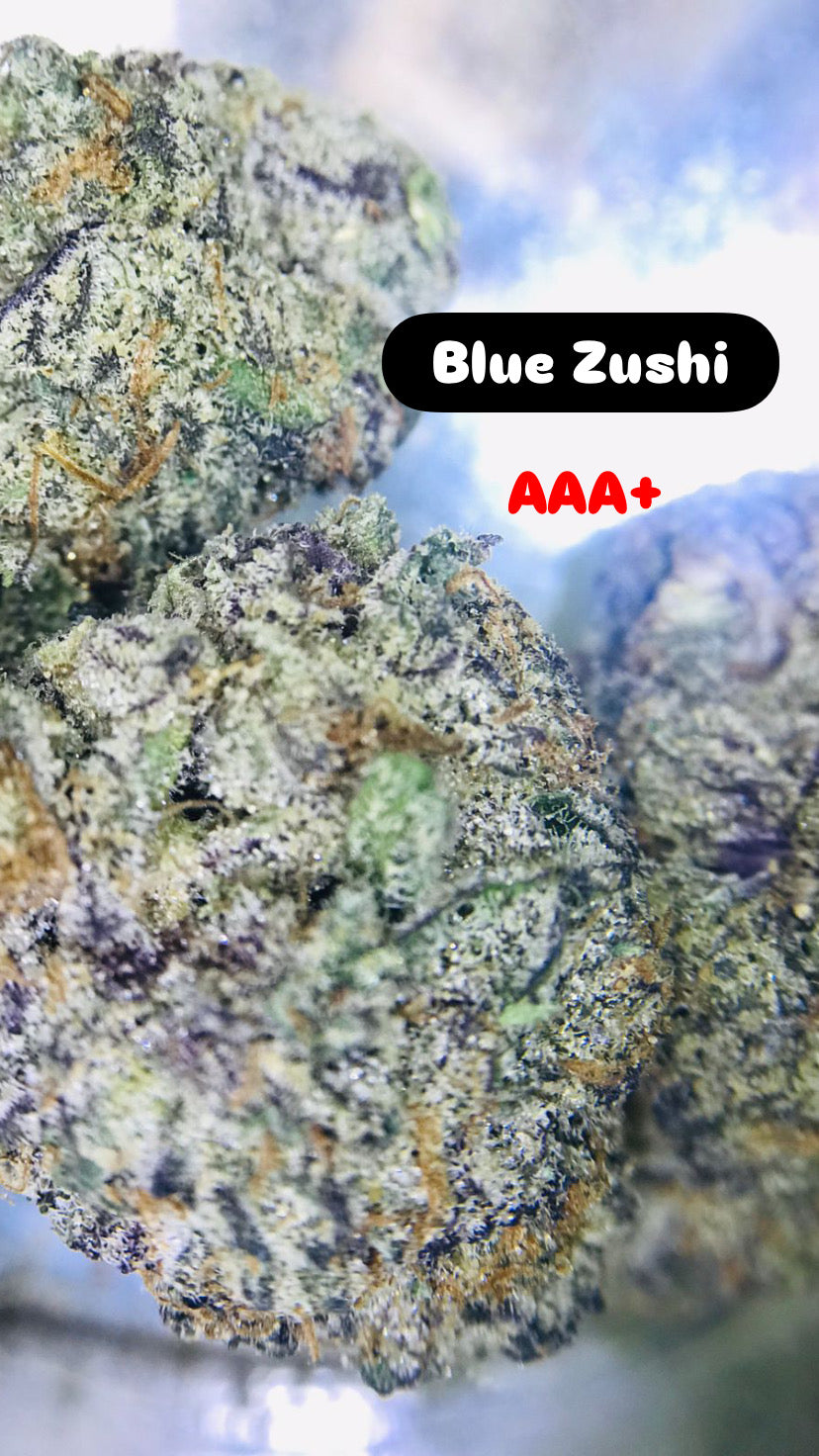 Blue Zushi Strain                                   Cannabis Palace