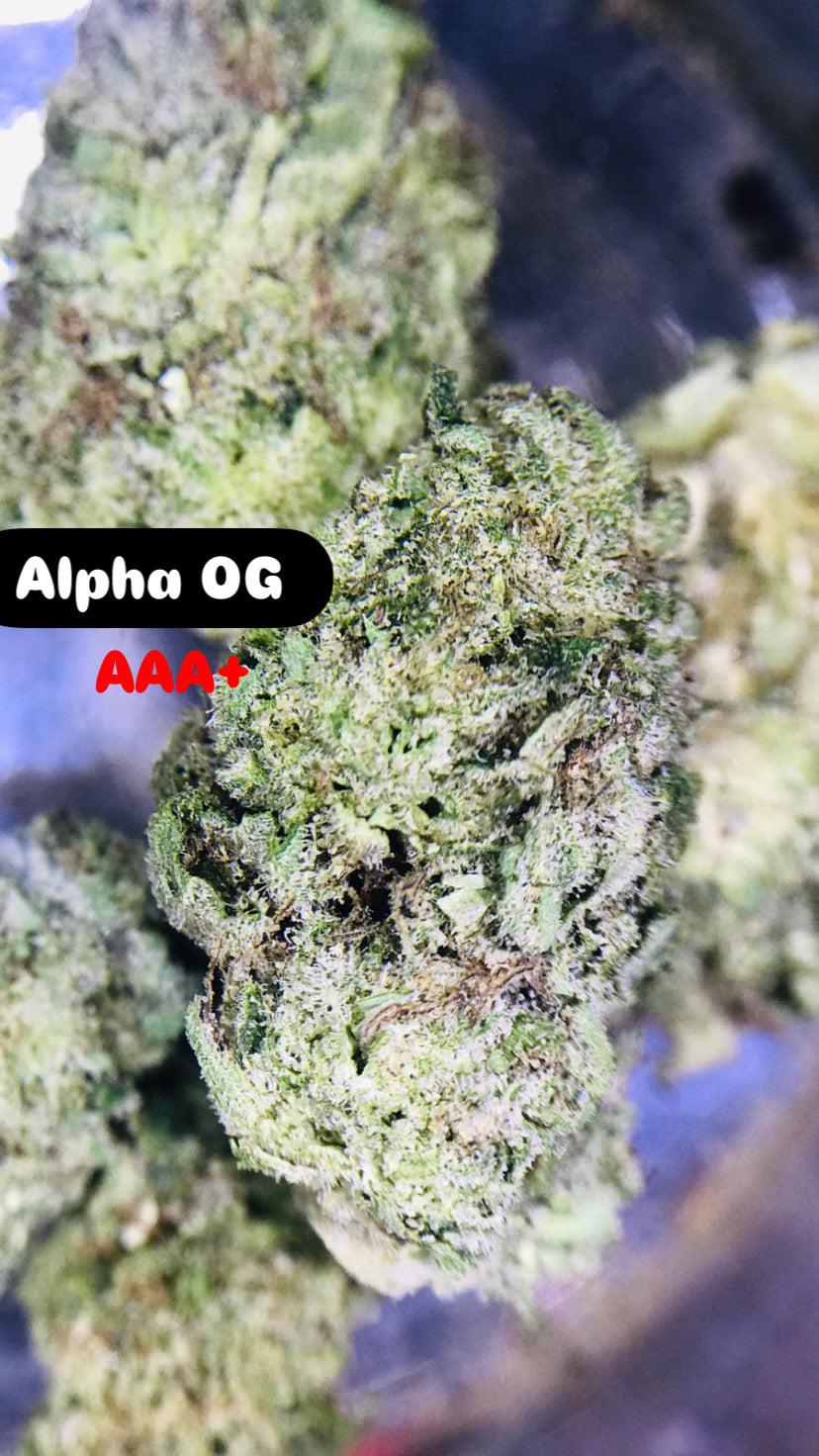 Alpha OG Strain                                    Cannabis Palace