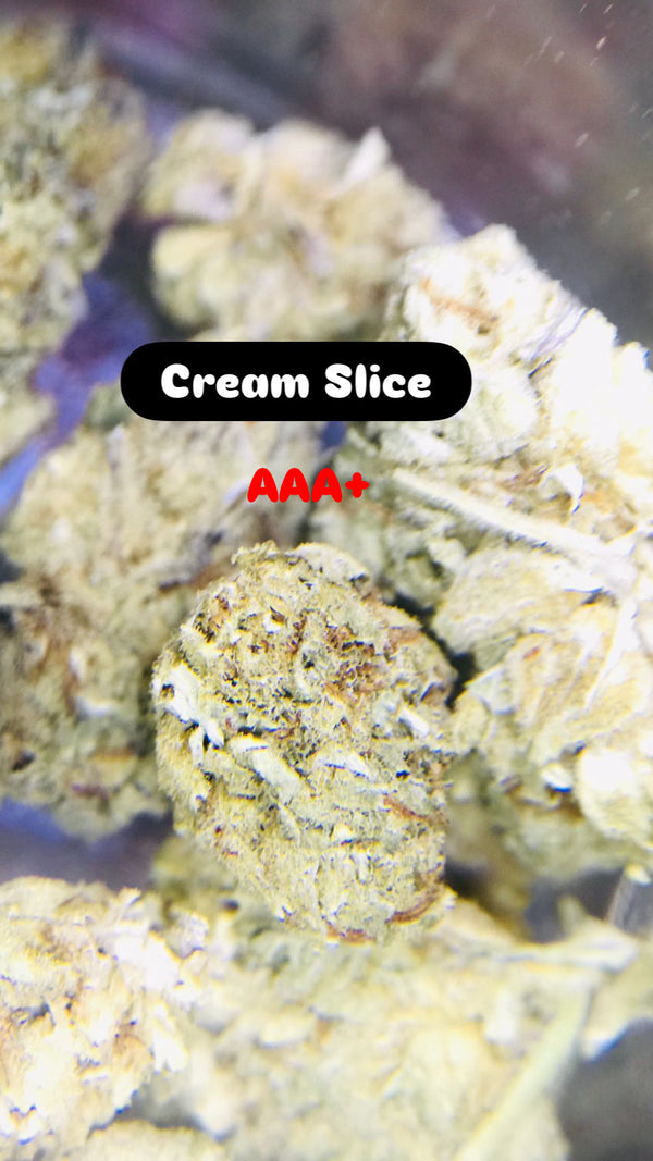 Cream Slice Strain                               Cannabis Palace