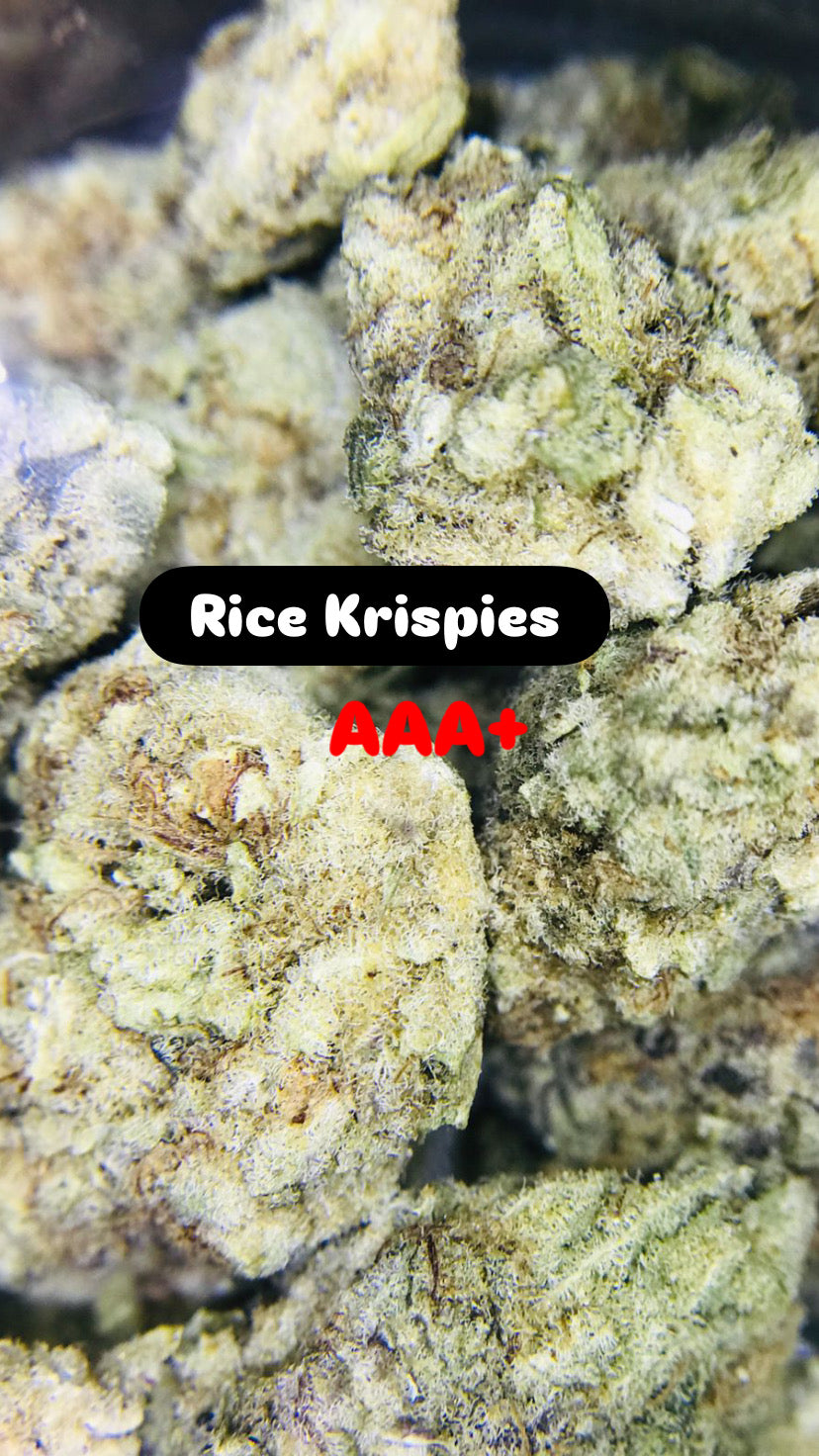 Rice Krispies Strain                               Cannabis Palace