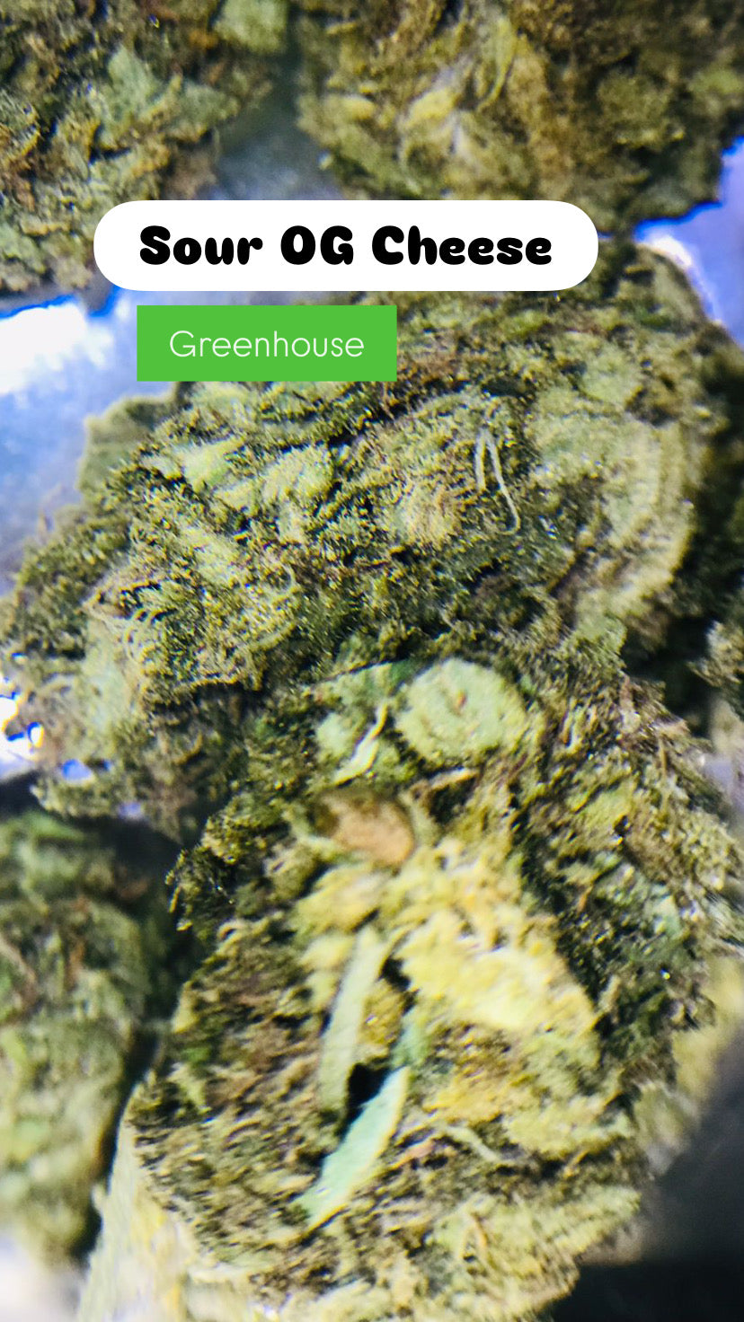 Sour OG Cheese                                   Cannabis Palace