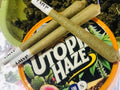 Pre-Roll                                                 Utopia Haze Strain