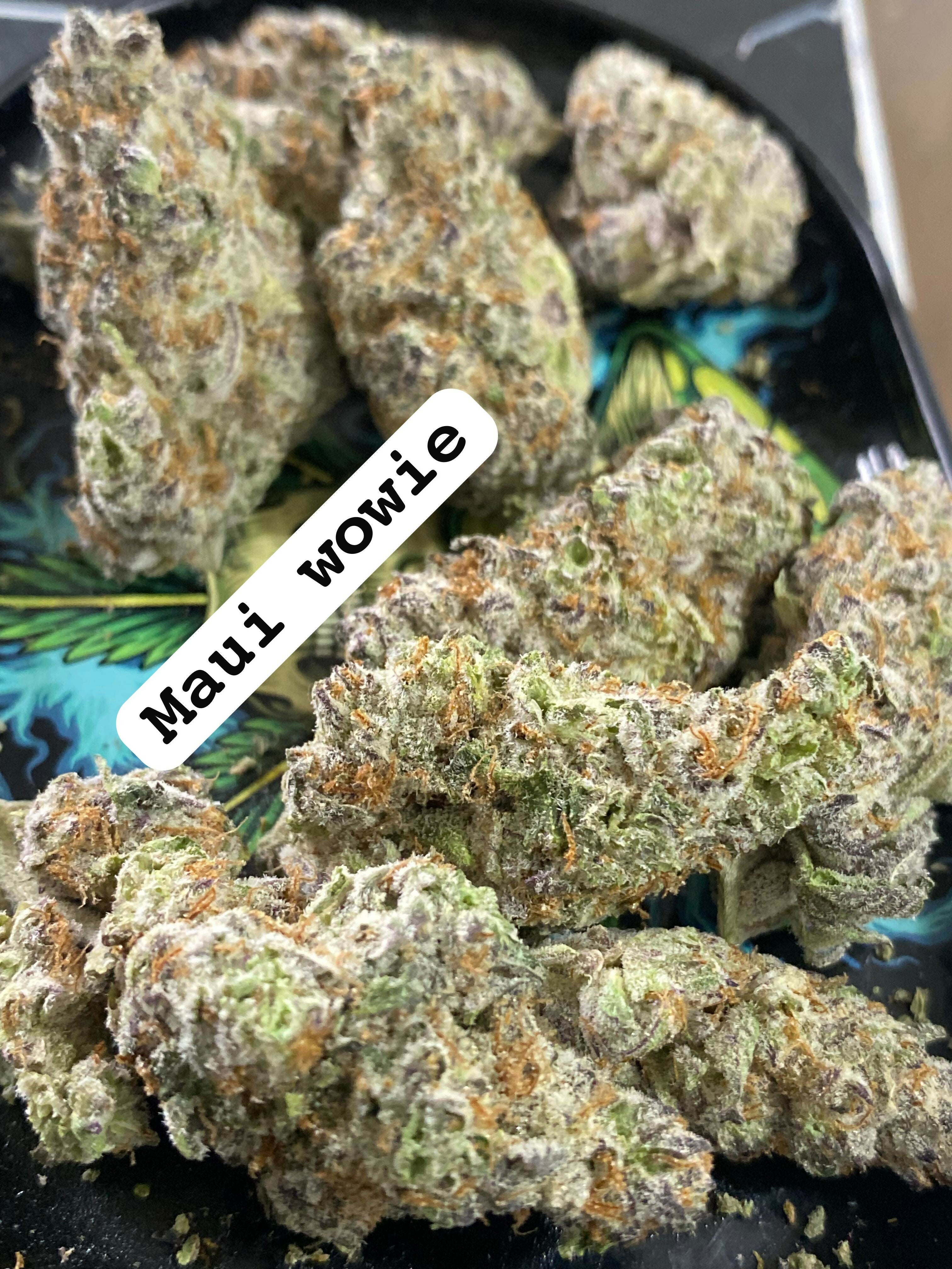 MAUI WOWIE STRAIN                          Cannabis palace